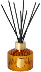 Trudon Le Diffuseur Altaïr