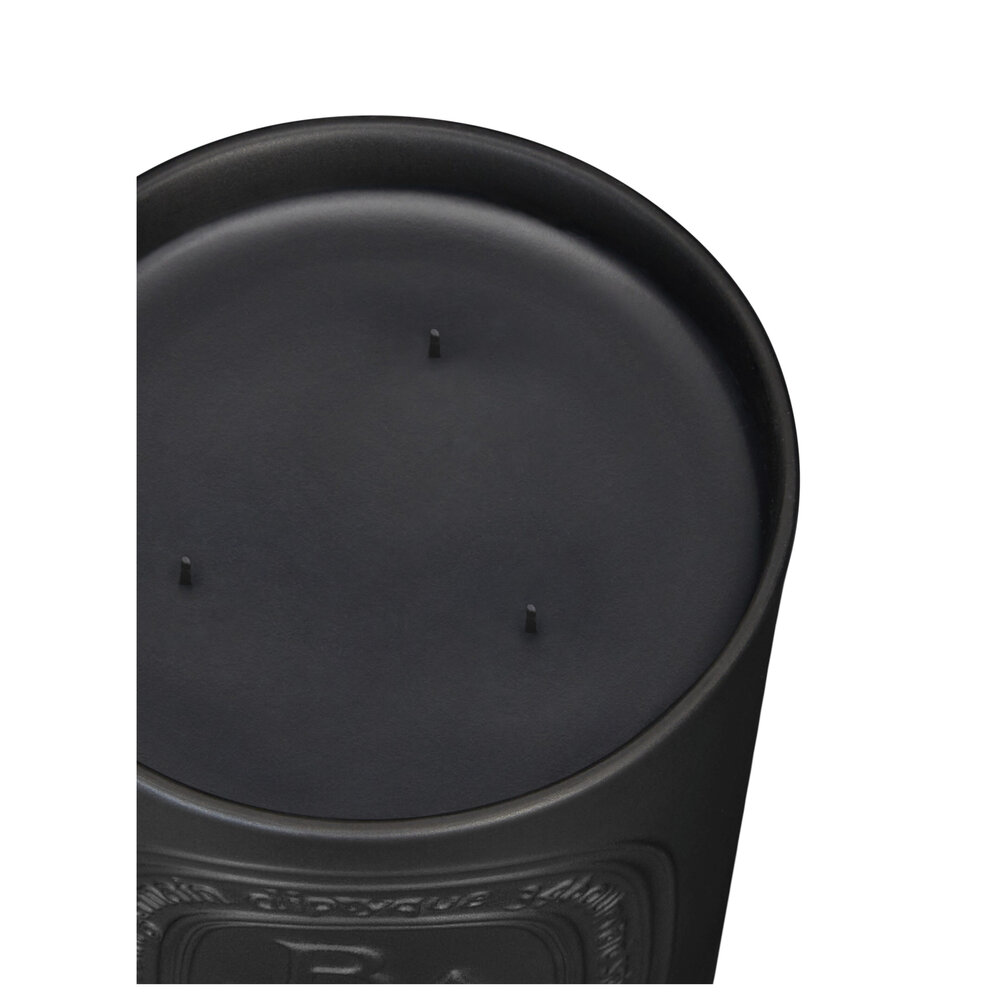 Diptyque Baies vonná svíčka