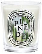 Diptyque Pinède vonná svíčka