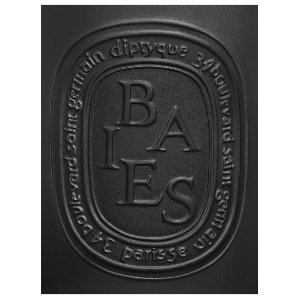 Diptyque Baies vonná svíčka