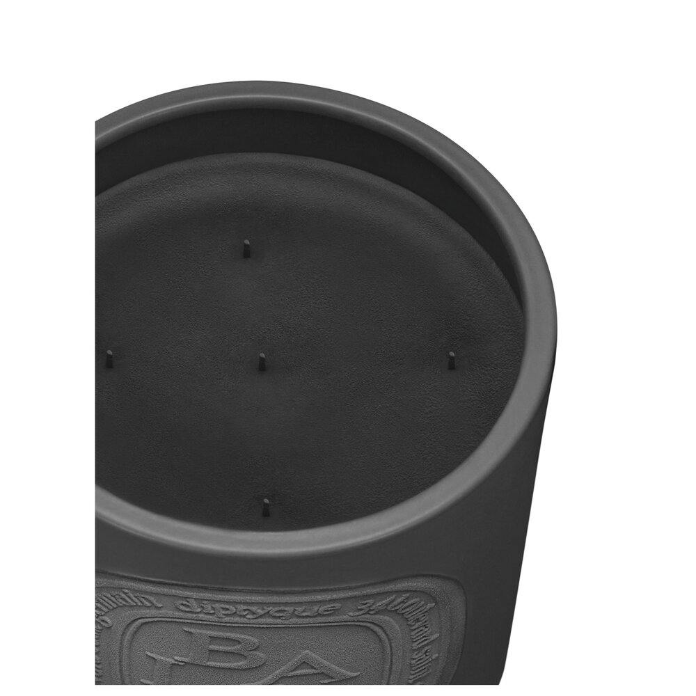 Diptyque Baies vonná svíčka