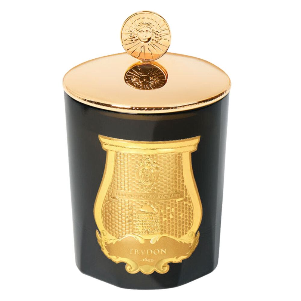 Trudon Solis Rex mosazný poklop